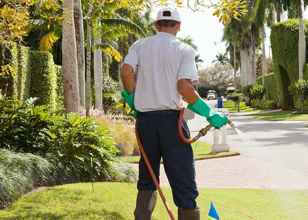 About Greenville WI Pest Control Pros